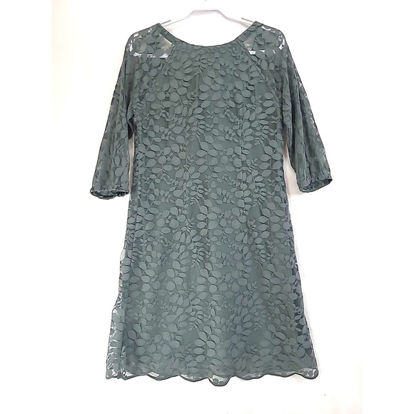 Garnet Hill Dress Sz Medium Green Lace Midi Lined Sheer Floral Overlay Boho - Picture 2 of 7